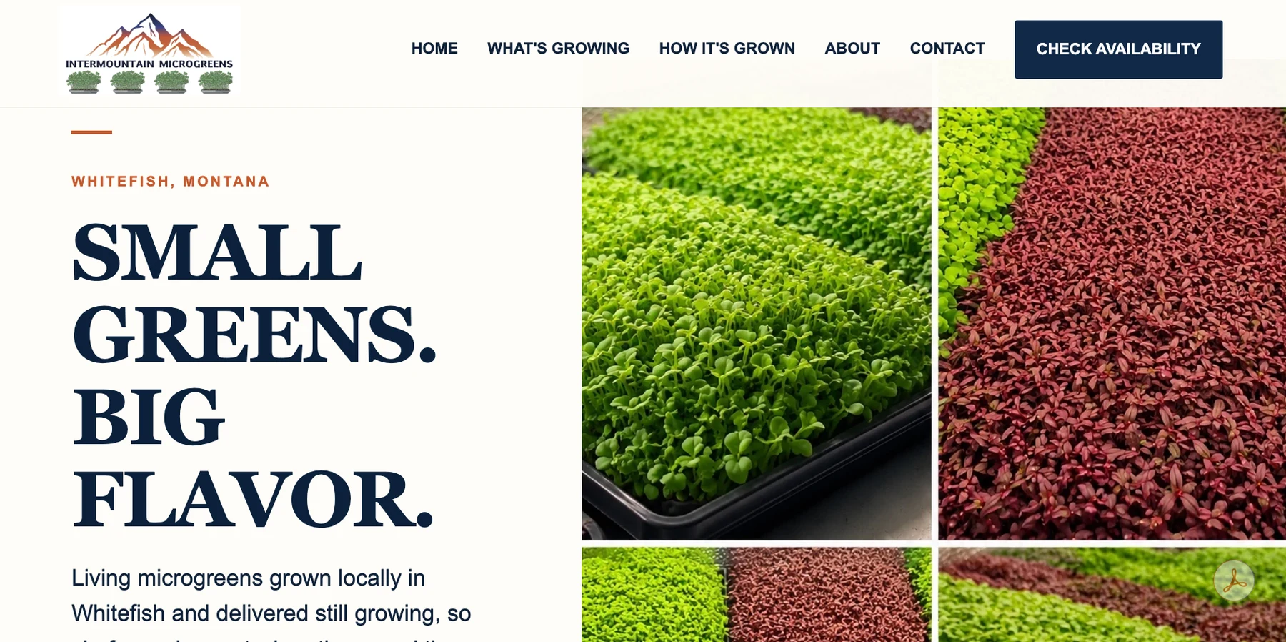 Real screenshot of the Intermountain Microgreens website homepage